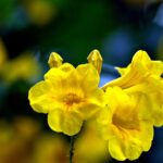 Altenpflegerin finden